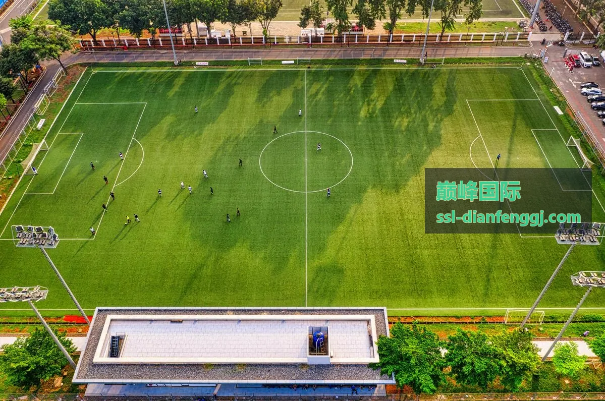 巅峰国际五款高端机械腕表对比细节图